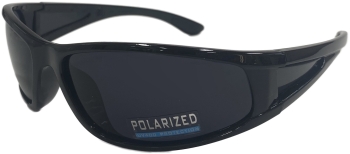 421603 Polarized Zen